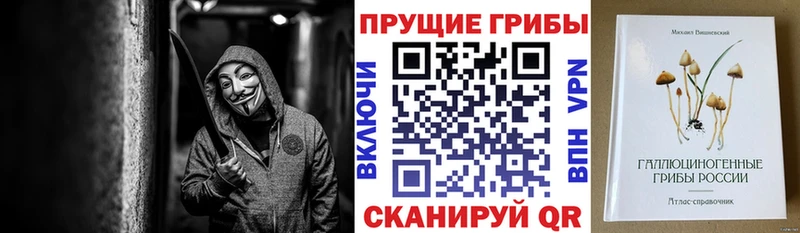 Галлюциногенные грибы Psilocybe  закладка  Болгар 